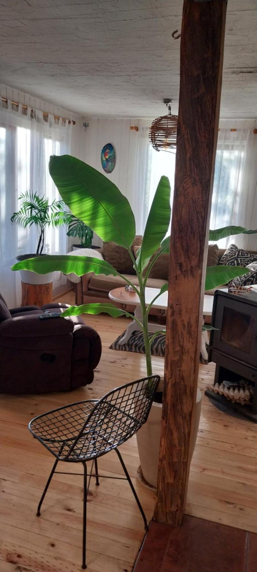 Casa Soleada Cuatro Personas, Con Patio, Hamaca Y Parrilla Casa de férias *